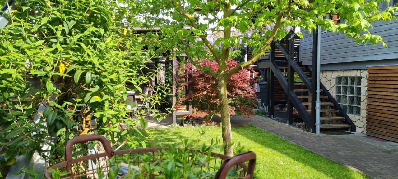 Apartment Maigloeckchen Фрицлар Экстерьер фото